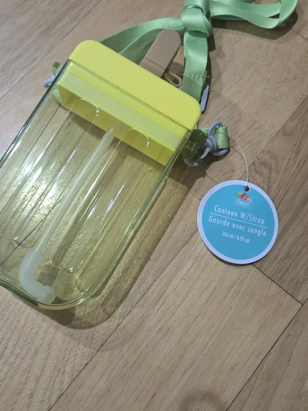 Dollar Tree Popsicle Water Cup Cantene With Strap